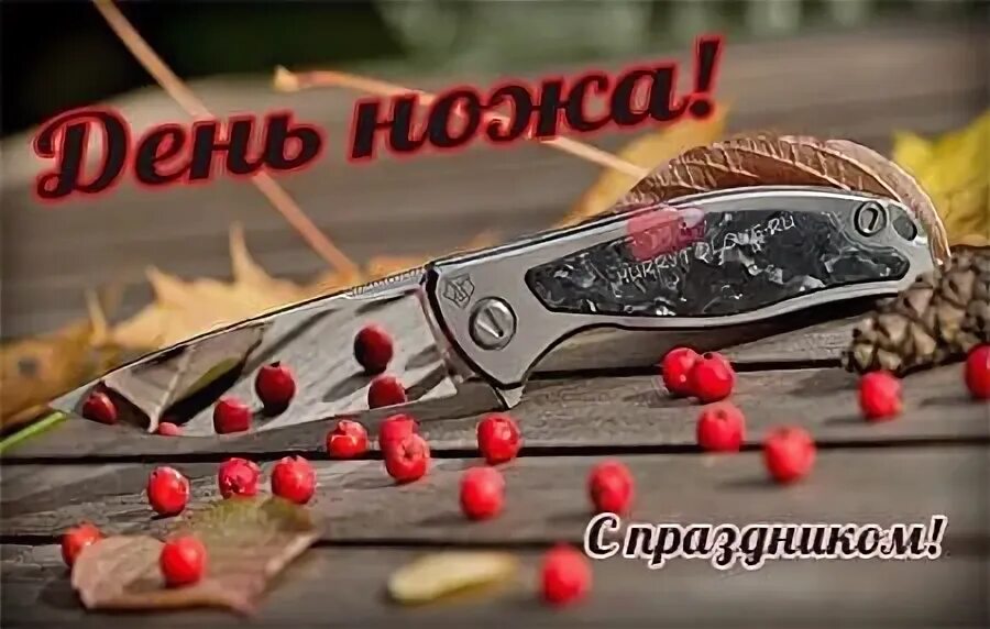 День консервного ножа 24 августа картинки прикольные. День ножа 24 августа картинки. День ножа 24 августа картинки. День консервного ножа 24 августа картинки прикольные. День ножа.