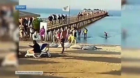 Египет съели человека