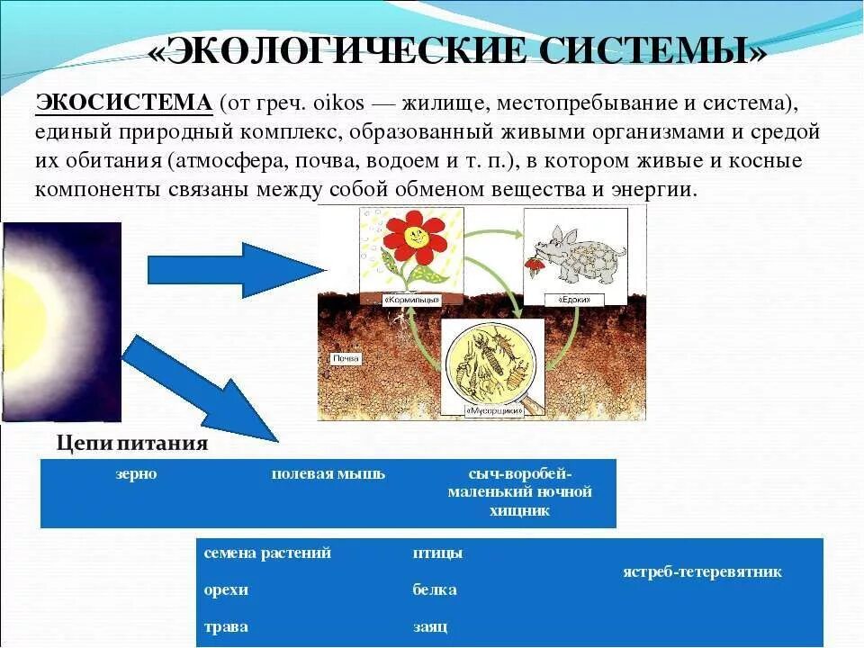 типы природных экосистем. все экосистемы земли. экологический мониторинг. экологическая система определение. уровни организации живой природы схема.