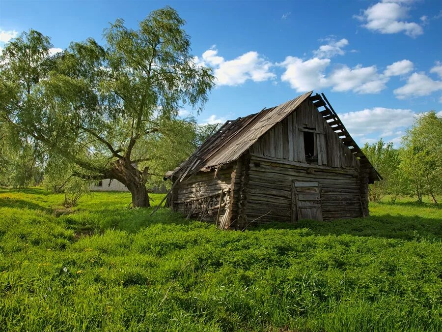 Деревенский пейзаж фото. Красивая деревенская жизнь. Деревенская жизнь природа. Сельский пейзаж фото.