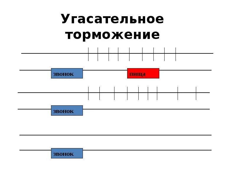 Угасательное торможение. Угасательное и дифференцировочное торможение. пример дифференцированного торможения.