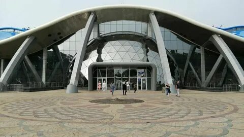 Океанариум во владивостоке на острове русском