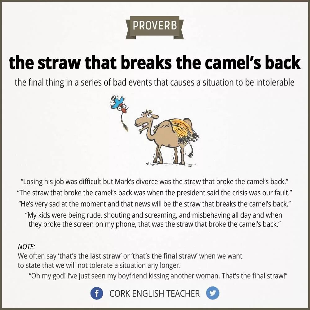 The camel was very thirsty. The Final Straw идиома. The Straw that broke the Camel's back. Идиомы с back. It was the last Straw that broke the Camel's back.