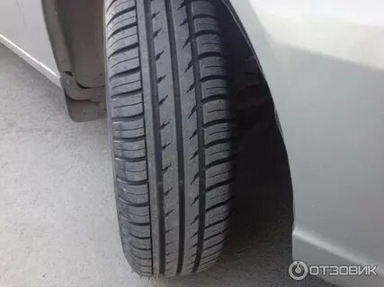 Белшина 330 отзывы