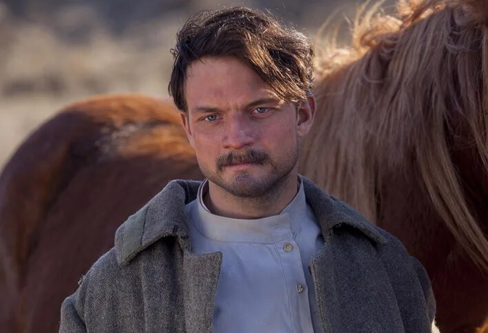 тихий дон новый