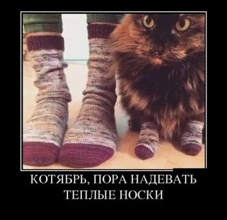 Тепло надевайся или одевайся