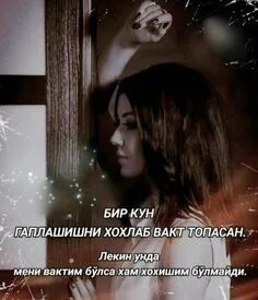 Солар бир