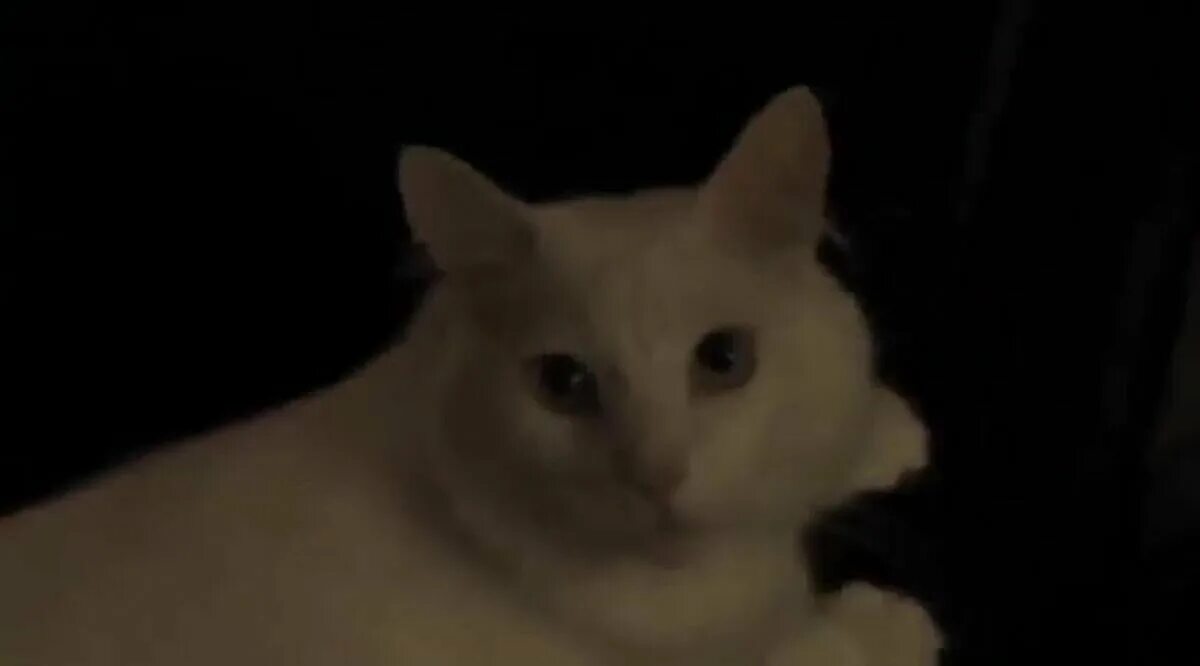 Подполье 3: покаяние фильм 2007 кадры. Подполье 3: покаяние фильм 2007. Подполье 3 покаяние фильм. Подполье 3 покаяние 2007. Подполье 3 покаяние 2007.