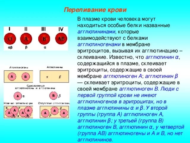 Белок определяющий группу крови. 1 Группа на эритроцитах агглютиногены. Агглютинины плазмы 1 группы крови. Агглютинины и агглютиногены резус фактор таблица. В эритроцитах IV группы крови содержатся агглютиногены:.
