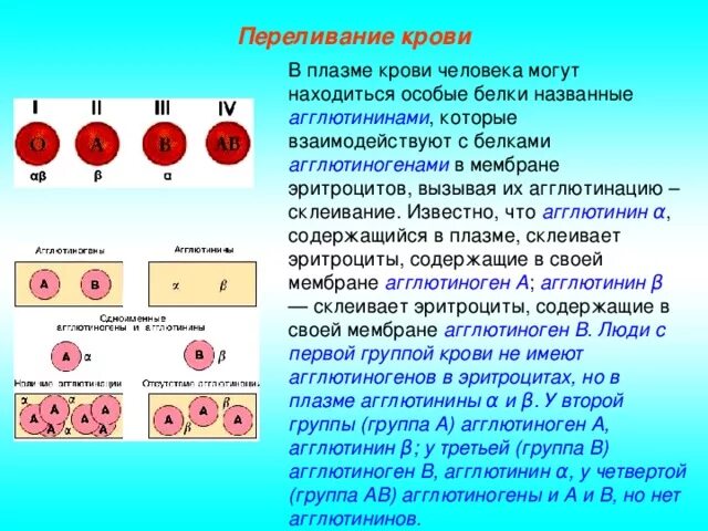 1 Группа на эритроцитах агглютиногены. Агглютинины плазмы 1 группы крови. Агглютинины и агглютиногены резус фактор таблица. В эритроцитах IV группы крови содержатся агглютиногены:. Белки определяющие группу крови