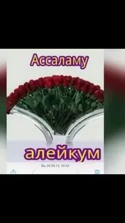 Ассаламу алейкум на арабском языке
