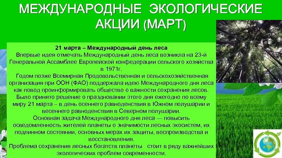 21 международный день леса. Международный день леса. Международный день лесов презентация. Сообщение на тему Международный день лесов.