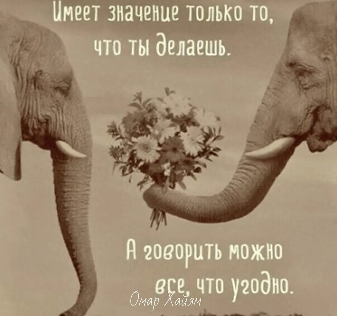 Говорить можно все что угодно