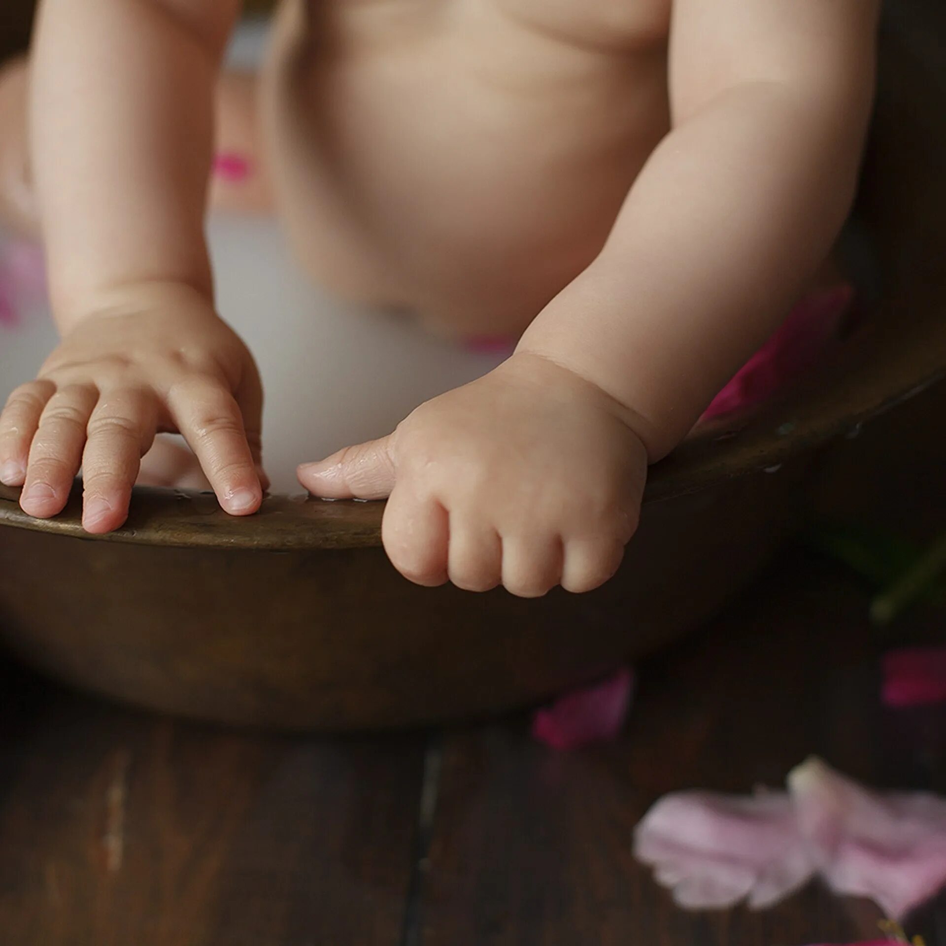 Коза в тазике мем. Шлепа в тазике. Каракал в тазике. Шлепа в тазике. Шлепа в тазике.