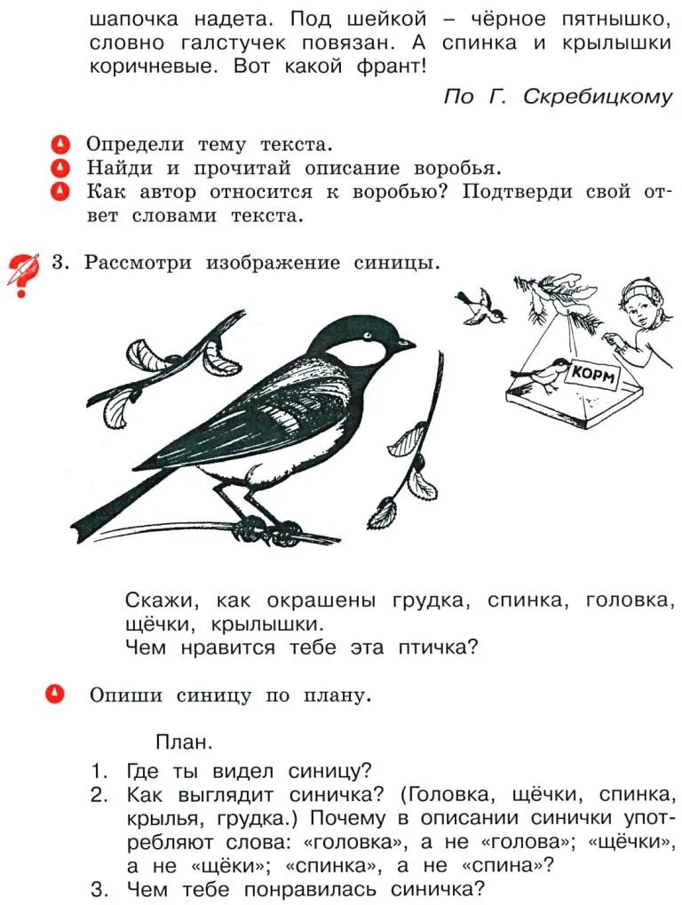 Синицевые воробьинообразные. Большая синица описание. Морфологический анализ синица. Морфологический анализ синица. Синица хохлатая.