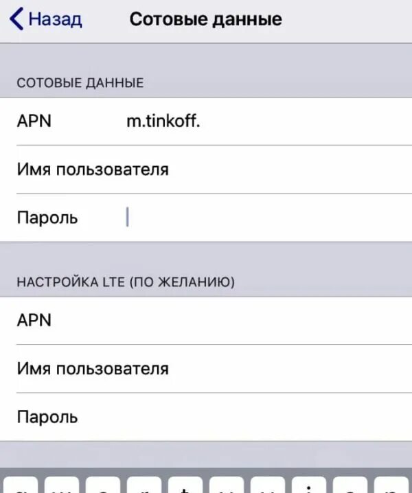 Как подключить интернет на тинькофф мобайл. Настройки интернета тинькофф. настройки апн тинькофф. точка доступа апн тинькофф. apn tinkoff настройки.