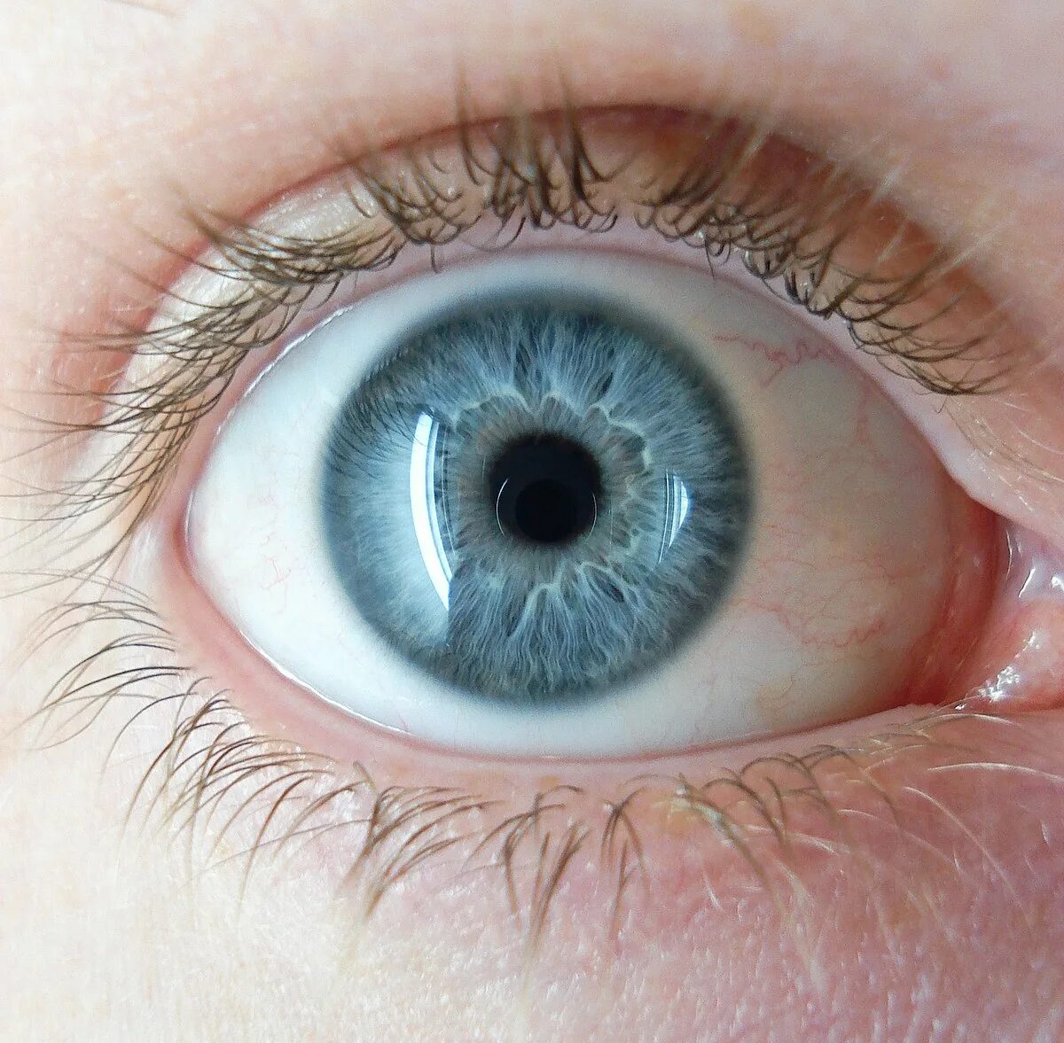 Eye dream