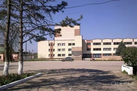 Погода в янтарном красногвардейский
