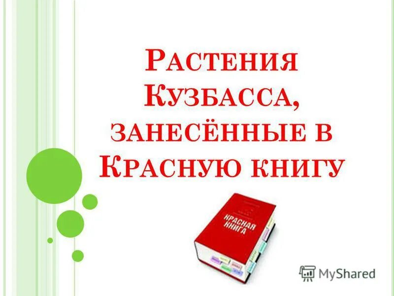 Песни занеси меня в красную книгу. Растения Кузбасса занесенные в красную книгу. Растения Кузбасса занесенные в красную книгу Кузбасса. Цветы Кузбасса занесенные в красную книгу. Красная книга Кузбасса растения.