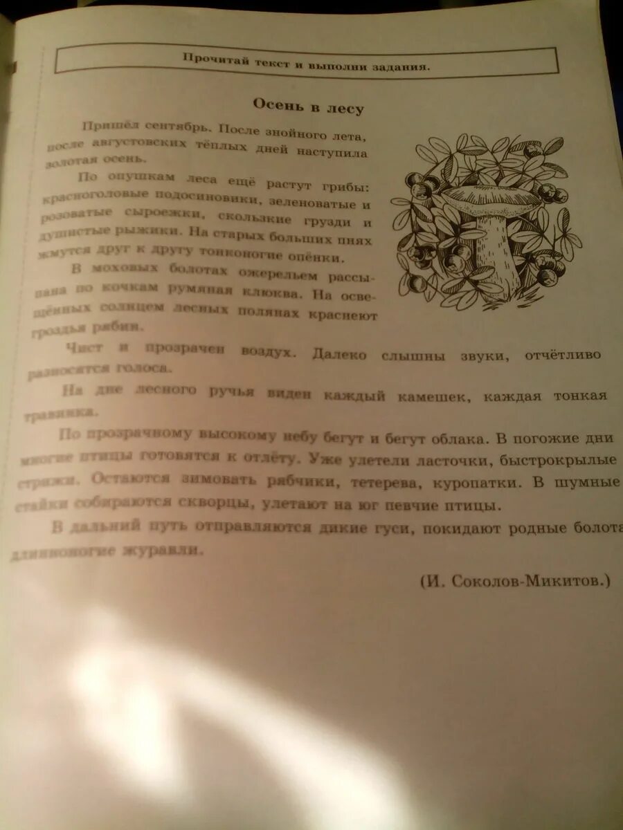 Комплексная работа голуби 3 класс. Осень в лесу комплексная работа 3 класс. Комплексные задания к текстам 3. Комплексные задания к текстам 3 класс. Комплексные задания к текстам третий класс.