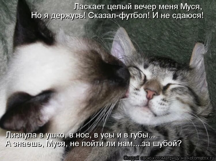 Люблю тебя гифки. Абонент кайфует мем. Люблю целую обнимаю мужчине. Абонент временно кайфует обои. Самый лучший кайф.