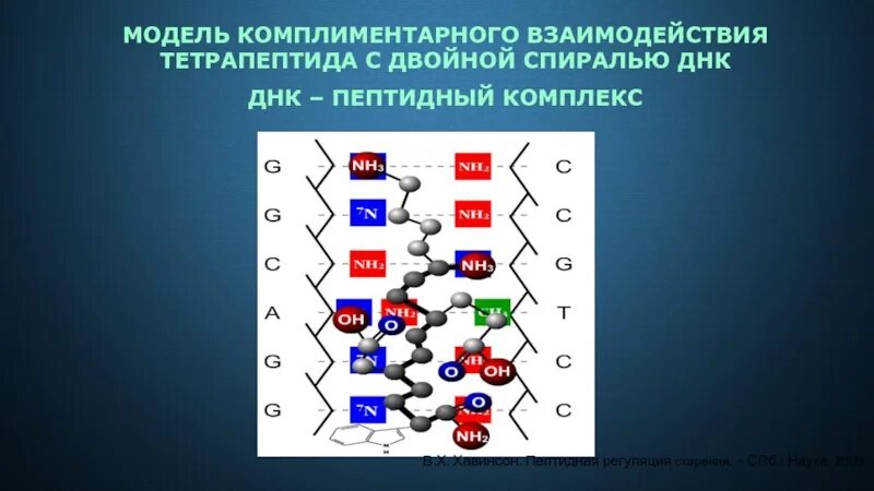Комплиментарные днк
