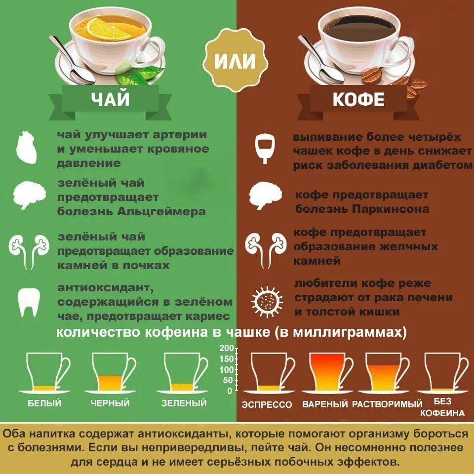 Кофе два раза в день. Кофеин в чае. что полезнее чай или кофе. польза и вред чая и кофе. польза чая.