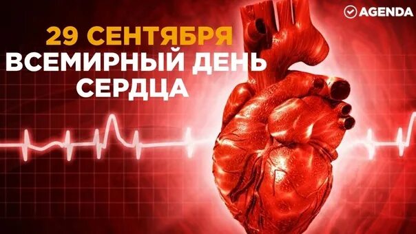 Всемирный день сердца - официальный сайт СПб ГБУЗ "Городская поликлиника № 43"