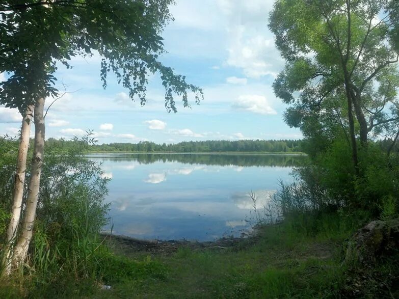 Покровское озеро большое. Деревня Покровское Кимрский район Тверская область. Покровское озеро Кимрский район. Покровское озеро Тверская область. Озеро Покровское Тверская область Кимрский район.