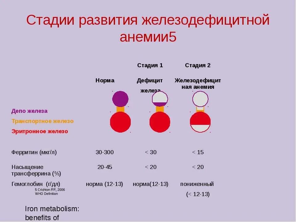 Анемия в 4 года