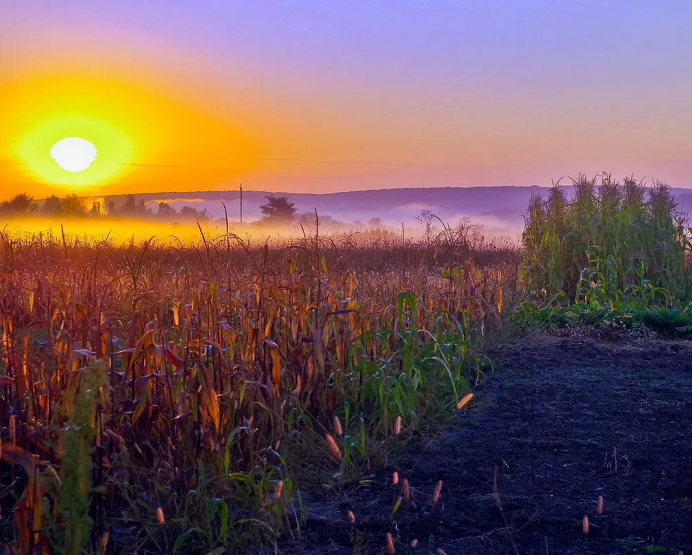 Утром солнышко встает слушать. Утром солнышко встает. Стих здравствуй родина моя. Стих утром солнышко встает нас. Ибряев).