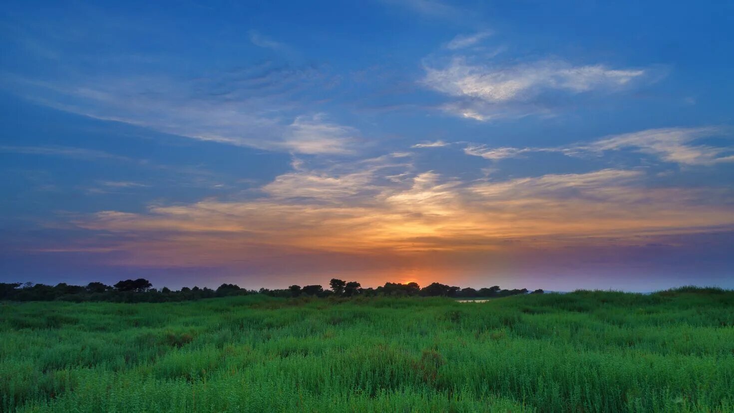Рассвет солнца. Рассвет в степи. Пейзаж небо. Степь волгоградской области. Снова степь теперь на горизонте широко разлеглась.