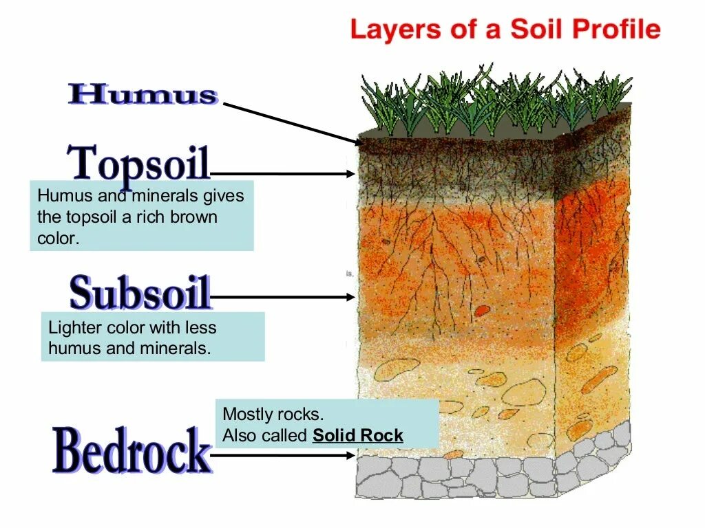 Soil layers. Почва в разрезе. Minerals in Soils. Слои почвы. One soil