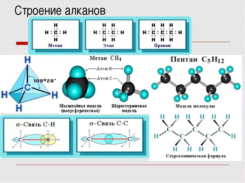 Формы углеводородов. Алканы строение молекулы. Молекулы и структуры алканы. Алканы пространственное строение молекулы. Строение молекул алканов.
