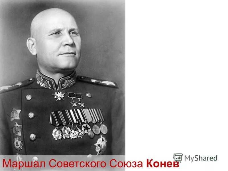 Конев ис