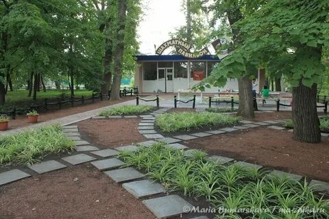 Работа парков культуры и отдыха