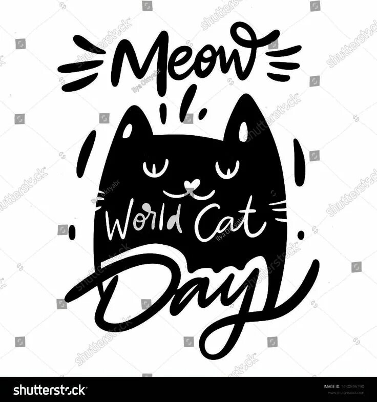 My cat all day