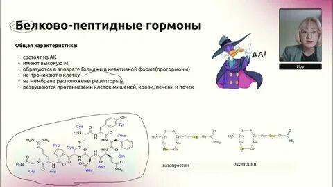 Механизм действия пептидных гормонов