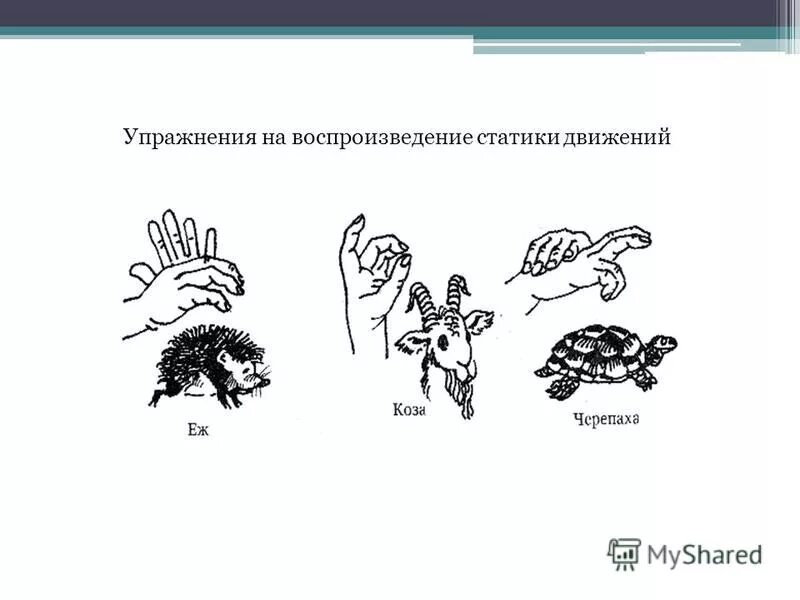 Серийная организация движений. Проба на Праксис позы пальцев. Упражнения на развитие кинестетического праксиса. Упражнения для пальцевого праксиса. Праксис позы пальцев рук для детей.