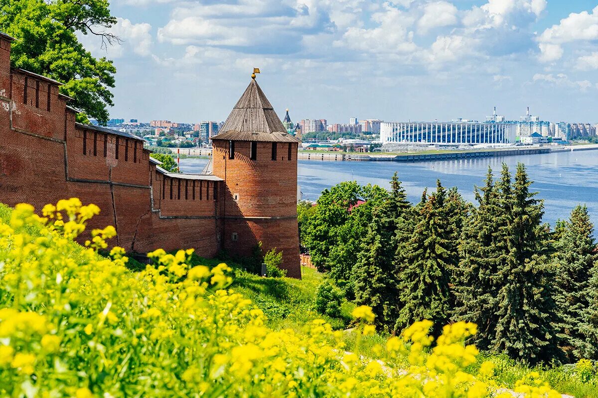 Сколько кремлей в нижнем новгороде. Нижегородский Кремль Нижний Новгород. Нижний Новгород 800 Кремль. Нижний Новгород Кремль и Волга. Нижегородский Кремль 1221.