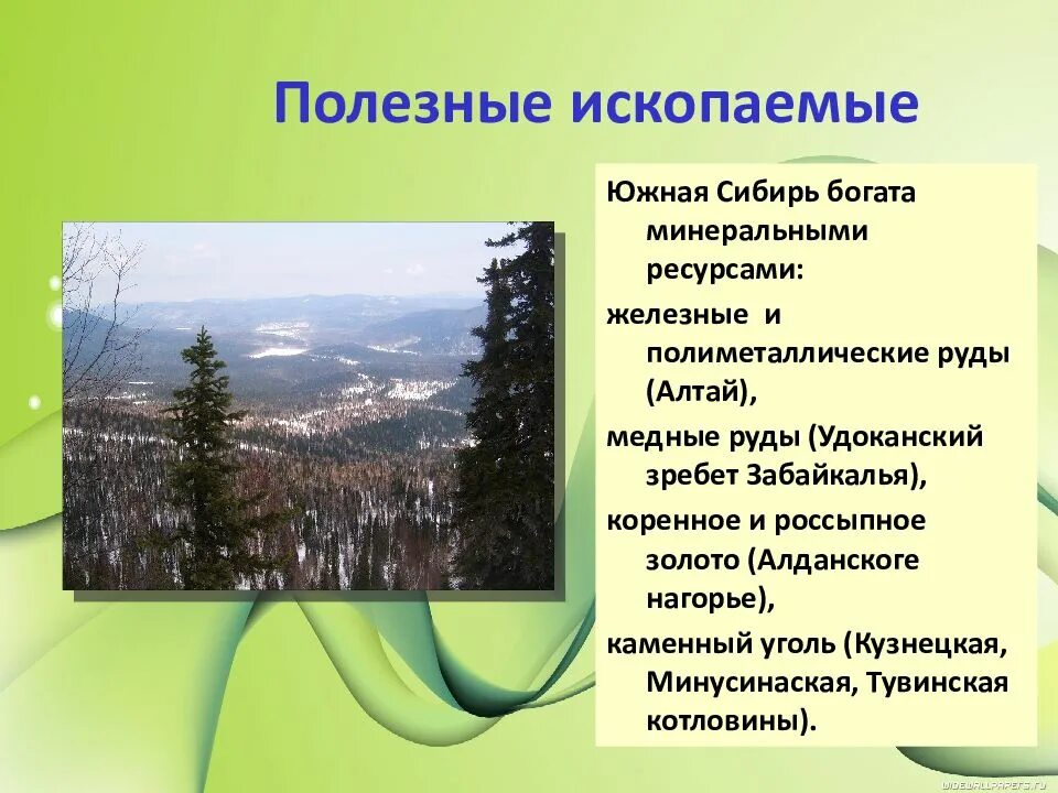 Полезные ископаемые Южной Сибири. Южная Сибирь 8 класс география. Южная Сибирь презентация. Экологические проблемы гор Южной Сибири.