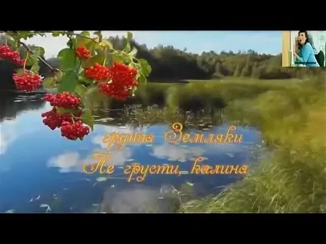 Калина у реки. Калина над водою. Не грусти Калина. Калина над ручьем.