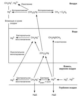 Химия просто ртуть и уран