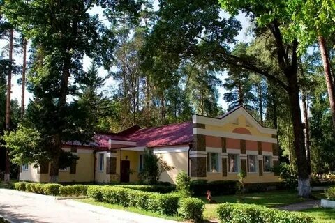 Снежка брянск отзывы