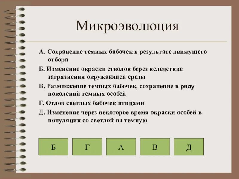 Сохранение темных бабочек в результате. Микроэволюция. Кроссворд макро и микроэволюция.