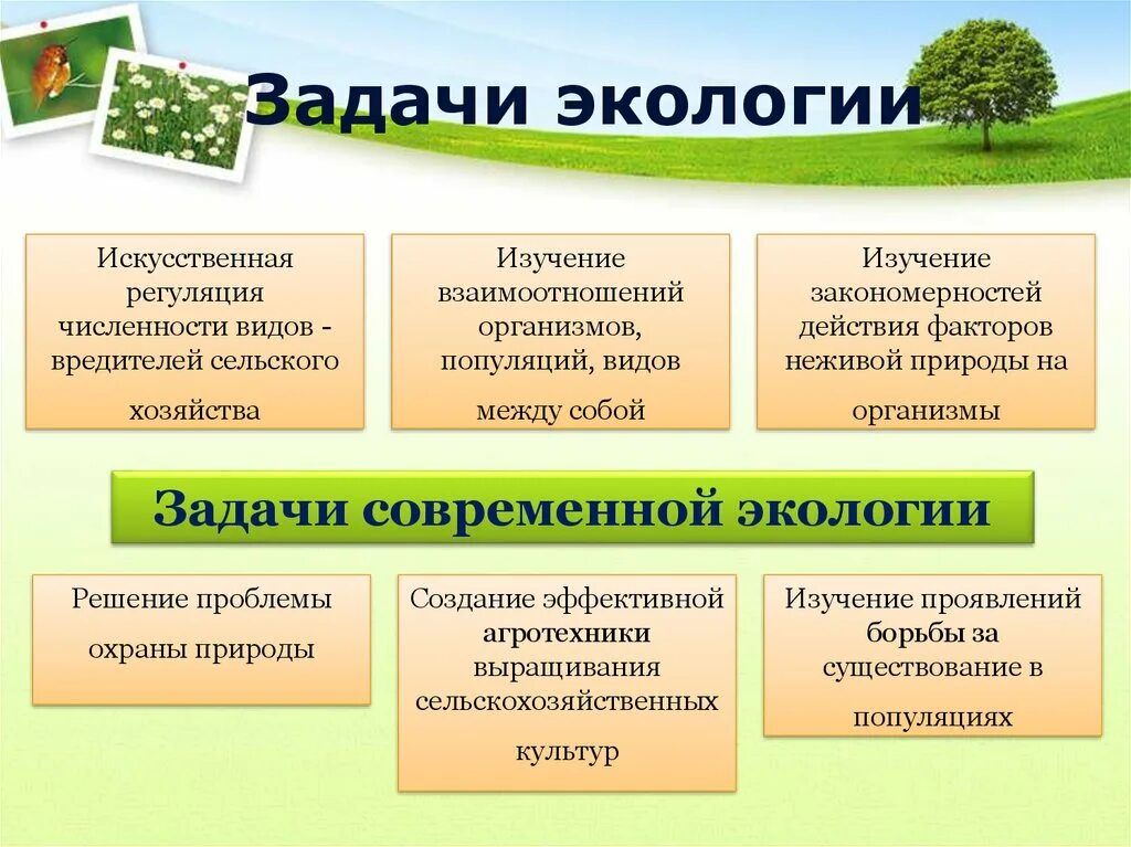 Егэ экология это ответы. Задачи экологии. Экология задачи экологии. Практические задачи экологии. Задачи экологии презентация.