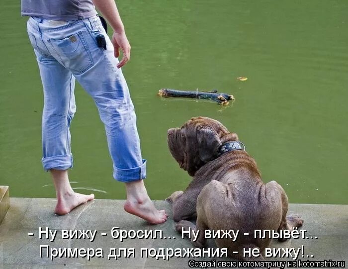 мираж 2004 состав. хозяин палку кинешь. бросили друзья цитаты. мемы для важных переговоров человек паук. группа мираж юниор.