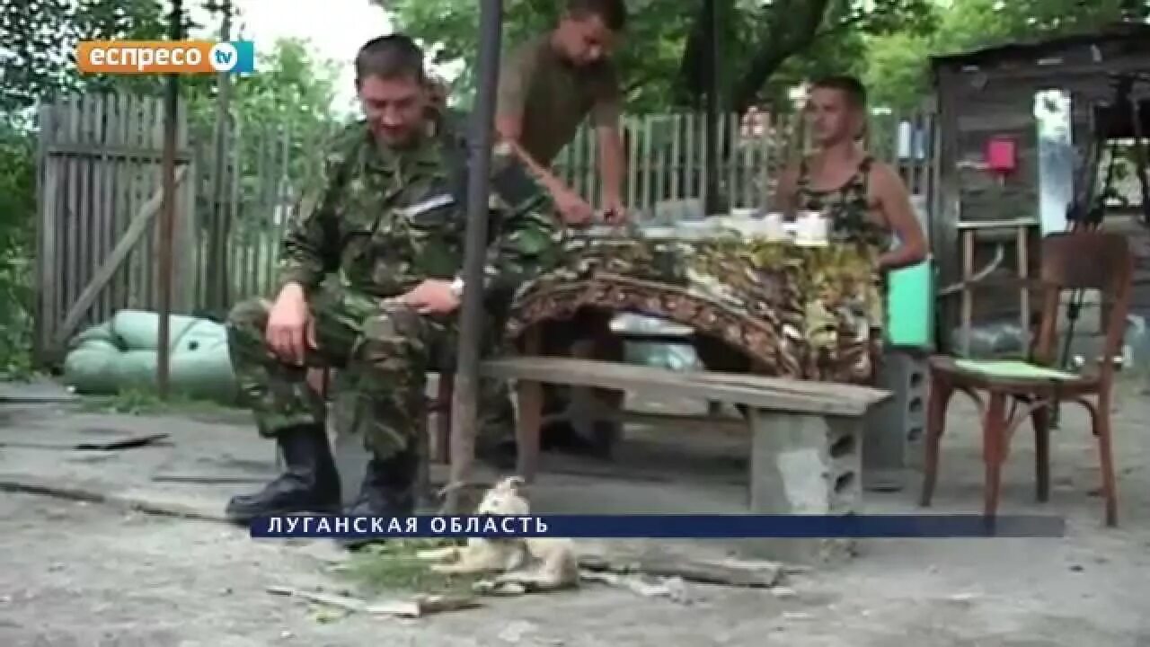 Батальона луганск. Батальон луганск 1. добровольческие батальоны луганска. добровольческий батальон луганская, 1.. ирина гордиевич батальон «луганск-1».