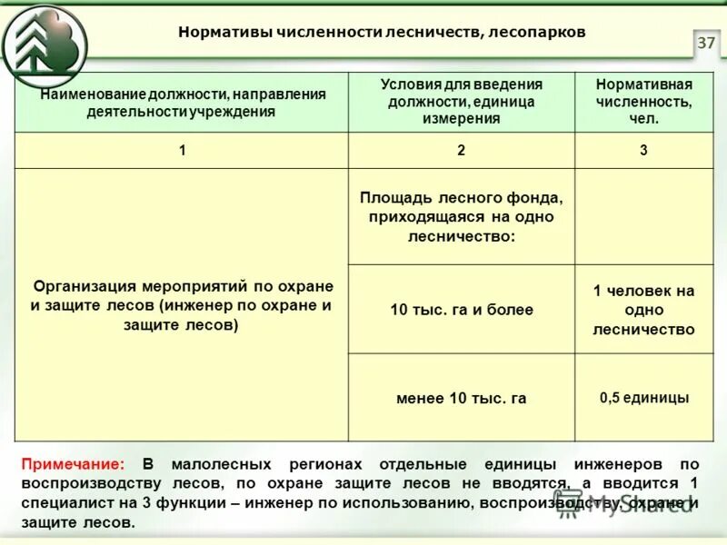 Норматив численность работников организации. Норматив численности работников. Нормативная численность лесничества. Должности в области лесного хозяйства. Нормативы численности лесничеств и лесопарков.