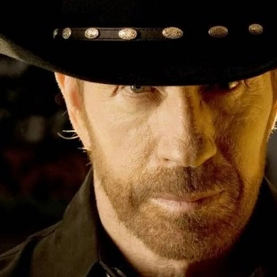 Тип чак. Чак чак премиум. Чак норрис 2022. Овсяница типчак. Тип чак.